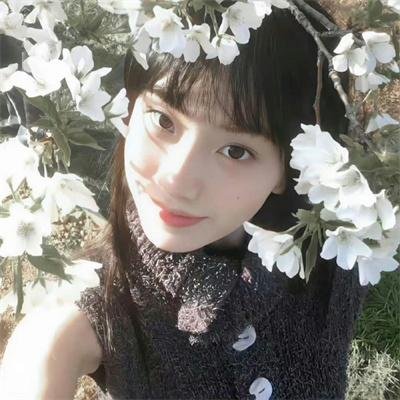 销售奇姬
