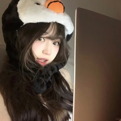君子好逑