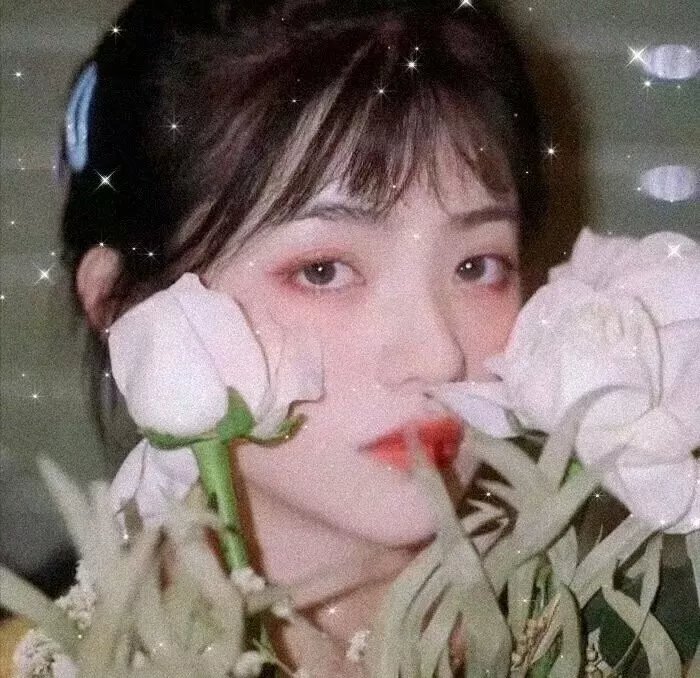 逃往你的心